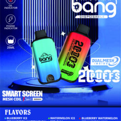 Bang 25000 Puffs 超大屏幕 超大容量可充電拋棄式電子煙 13 bang dualmesh電子煙