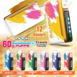 💨 Bangking Ice Cool 60000 Puffs:60k口超大容量、五檔涼度可調拋棄式電子煙 買五送一 74 💨 Bangking Ice Cool 60000 Puffs:60k口超大容量、五檔涼度可調拋棄式電子煙 買五送一 商品圖片