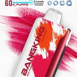💨 Bangking Ice Cool 60000 Puffs:60k口超大容量、五檔涼度可調拋棄式電子煙 買五送一 16 Bangking 可調冰拋棄式電子煙