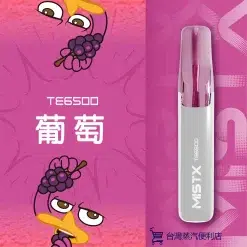 MIST X 鴨嘴獸拋棄式電子煙 一次性大容量 6500口 台灣現貨 711到付 26 MISTX TE6500 鴨嘴獸葡萄 scaled 1