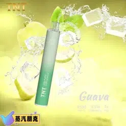 TNT 6500 PUFFS 抛棄式電子煙 3.5%尼古丁一次性電子煙煙桿 新品上市 31 TNT一次性拋棄式芭樂