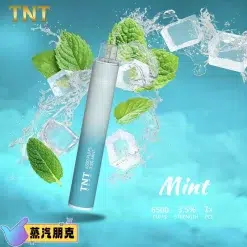 TNT 6500 PUFFS 抛棄式電子煙 3.5%尼古丁一次性電子煙煙桿 新品上市 29 TNT一次性拋棄式薄荷