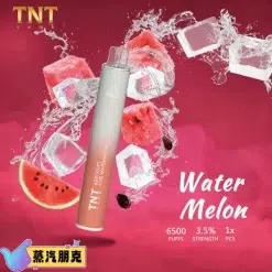 TNT 6500 PUFFS 抛棄式電子煙 3.5%尼古丁一次性電子煙煙桿 新品上市 22 TNT一次性拋棄式西瓜