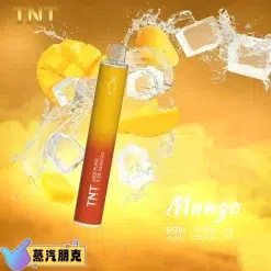 TNT 6500 PUFFS 抛棄式電子煙 3.5%尼古丁一次性電子煙煙桿 新品上市 32 TNT一次性芒果
