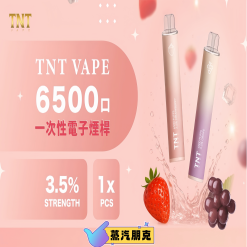 TNT 6500 PUFFS 抛棄式電子煙 3.5%尼古丁一次性電子煙煙桿 新品上市 19 tnt6500口抛棄式 scaled 1