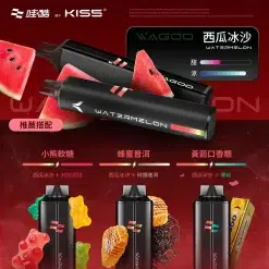 Wagoo 6500 Puffs拋棄式電子煙 哇酷6500口一次性 自由混搭雙口味 買十送一 13 哇酷 6500 西瓜