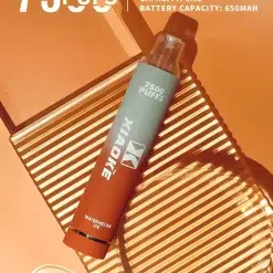 Xiaoke 7500 puffs拋棄式電子煙 梟客一次性大容量煙桿 台灣現貨 20 梟客 7500 電子煙